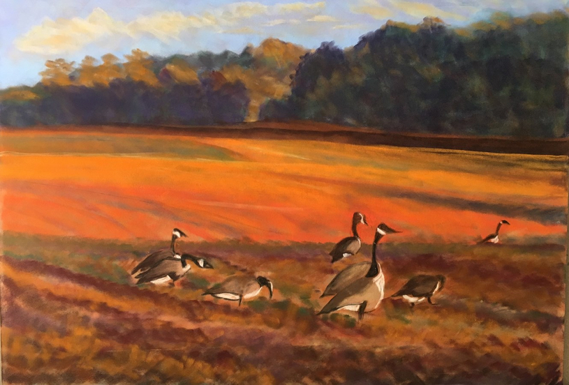 La vie en couleurs pastel