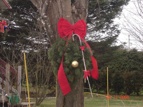 Noel s'en vient