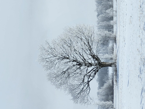 Beauté Naturelle 