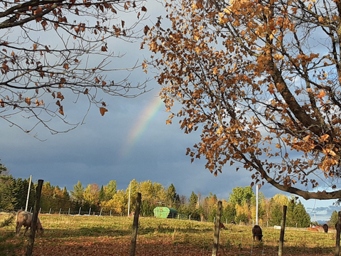 Photo de la région