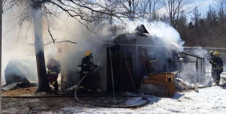 Des animaux d’exposition périssent dans un incendie