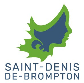 Un bilan pour la municipalité de St-Denis
