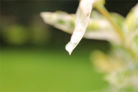 goutte d'eau