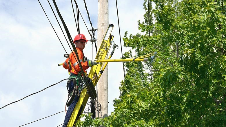Hydro-Québec interviendra sur des arbres situés près de son réseau électrique 