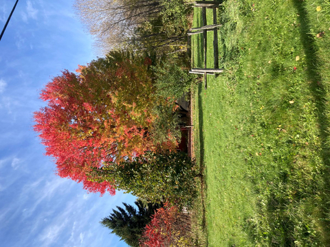 Photo de la région