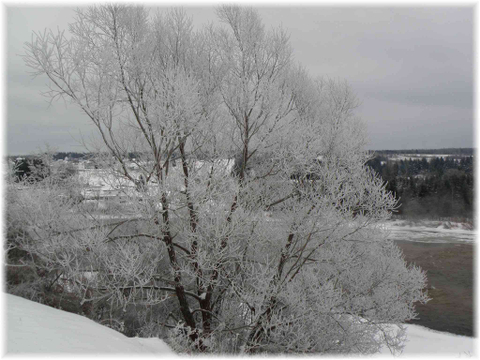 Matin froid d'hiver