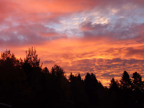 un ciel de feu