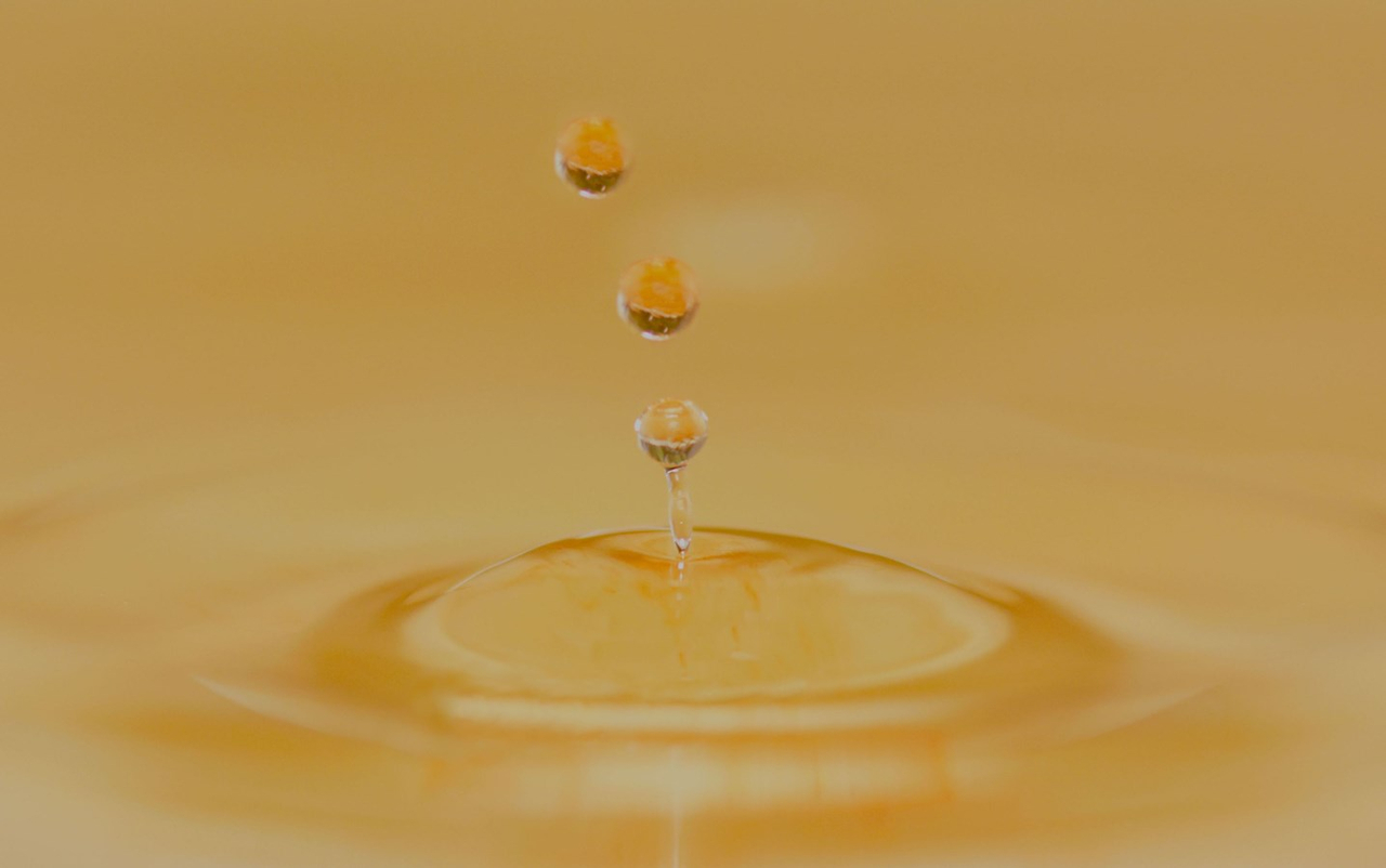 La question de l’eau à Richmond