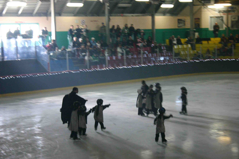 Spectacle annuel des Patins d'argent
