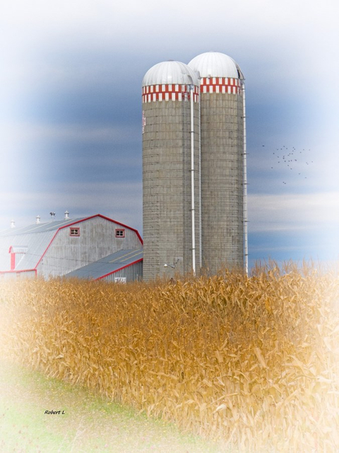 Silo