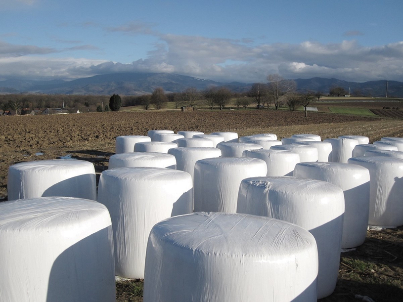 Plus de plastique agricole collecté dans la MRC du Val-Saint-François