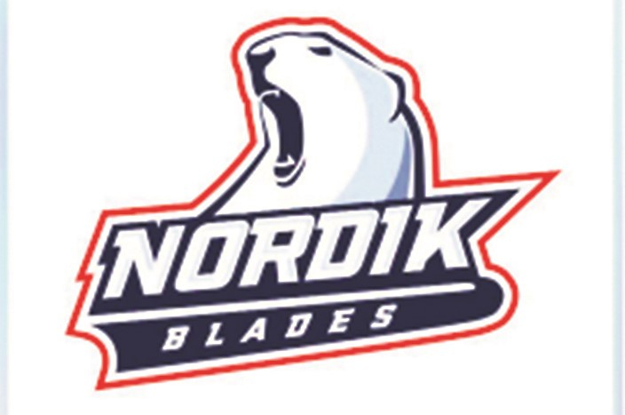 Plus d’une trentaine de joueurs présents au camp du Nordik Blades