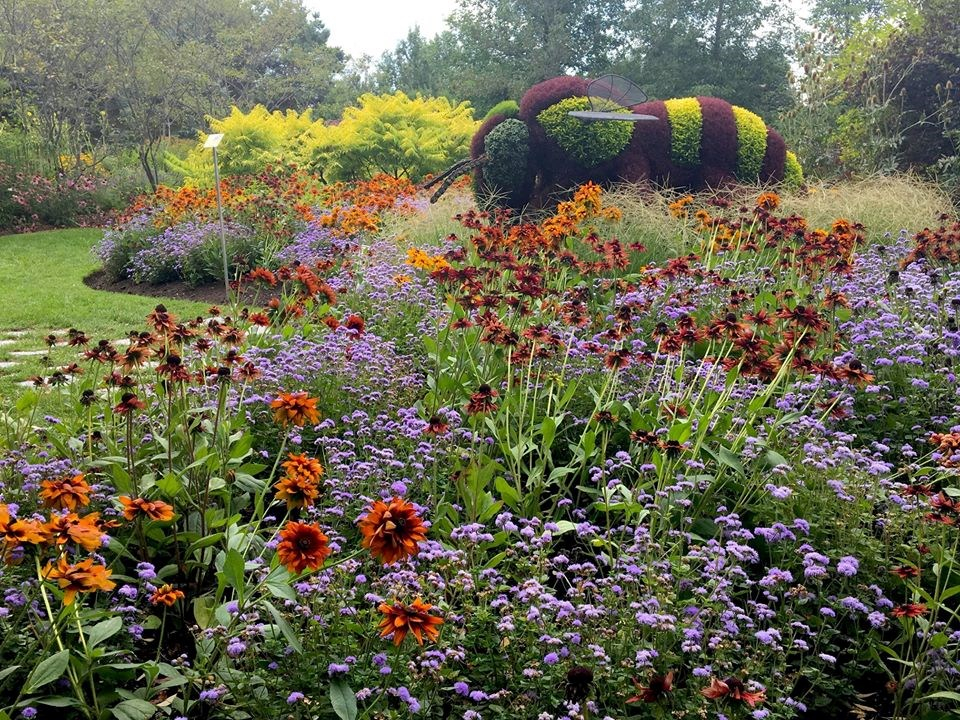 Un été sans événement au Parc Marie Victorin, mais pas sans fleurs!