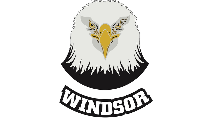 Nouvelle image à la crosse mineure de Windsor
