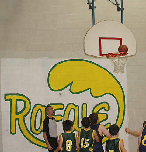 Basket au Tournesol
