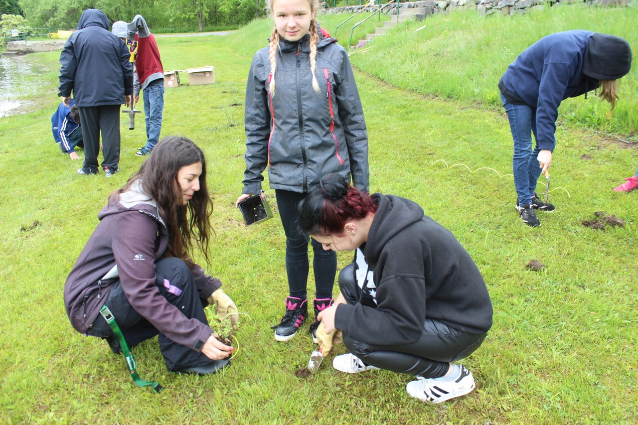 Jeunes du Tournesol et partenaires réaménagent la bande riveraine