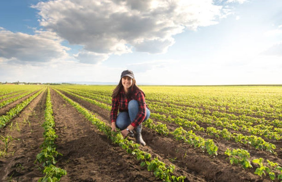 La relève agricole au féminin