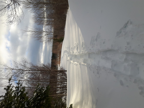 Photo de la région