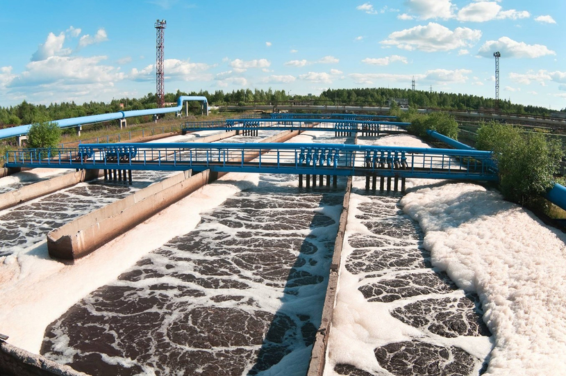 Des solutions concrètes pour diminuer son empreinte écologique