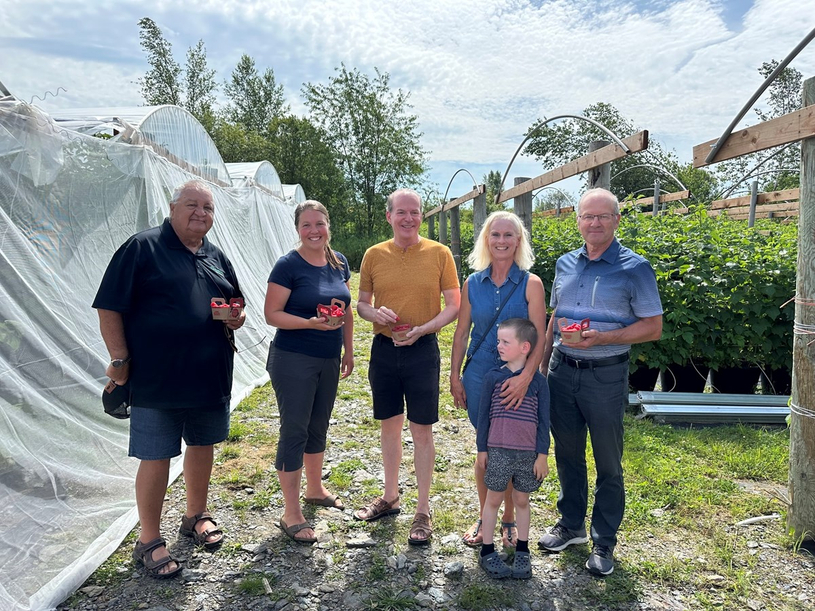 Une première saison de framboises hors-sol pour la bleuetière Le champ bleu de Saint-Adrien