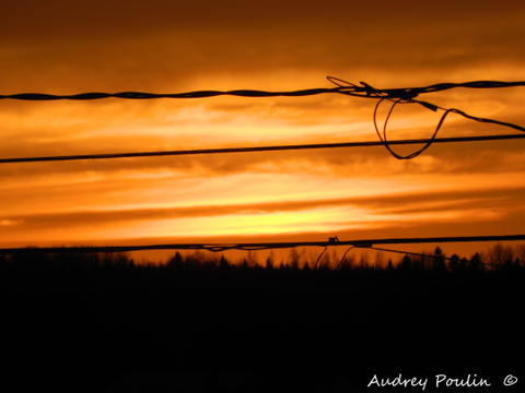 Couché de soleil