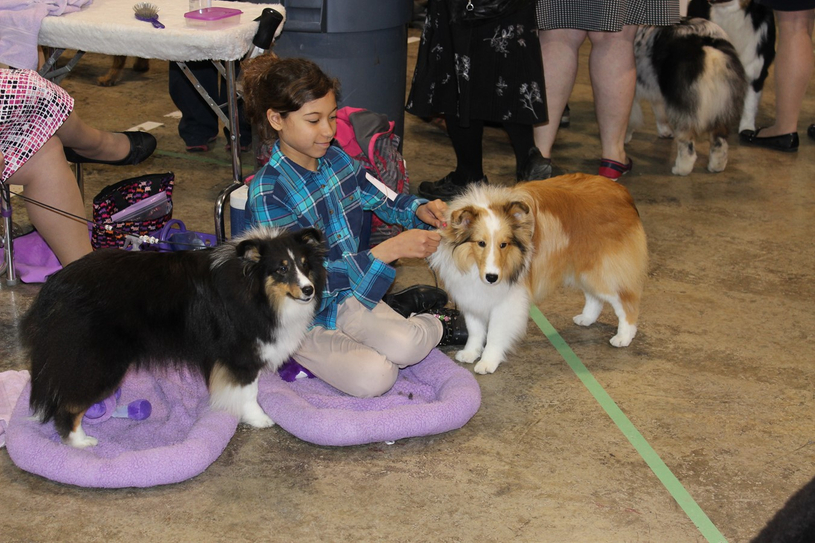 Exposition canine à Windsor : une quatrième édition les 14 et 15 avril