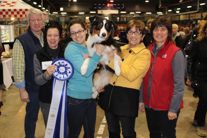 Participation et affluence accrues à l’Exposition canine de Windsor