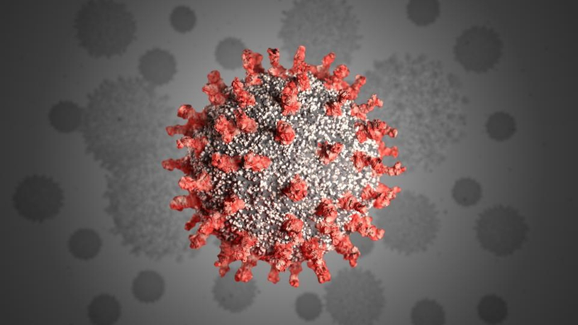 Non, le problème du coronavirus n’est pas surestimé