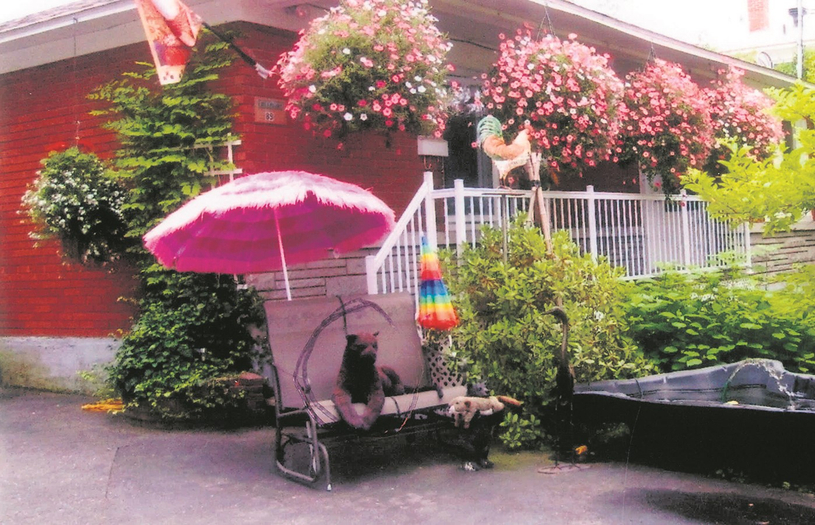Une panthère de jardin dérobée à Windsor