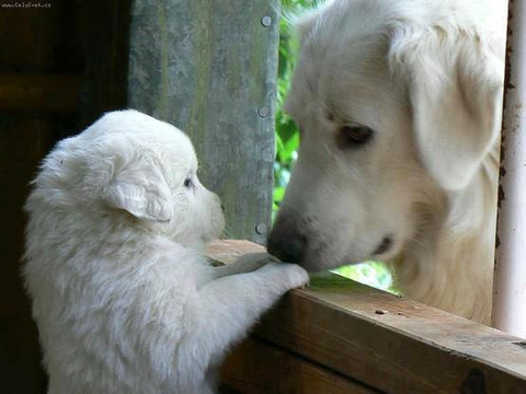 Un regard qui en dit long ! 