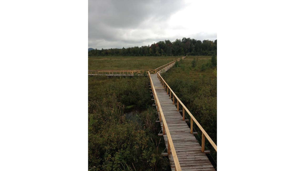 Au courant de l’année 2016, la passerelle a été totalement refaite à l’étang Burbank de Danville.