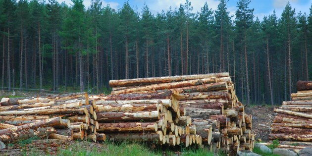 Les producteurs forestiers défendent leur droit de négocier collectivement