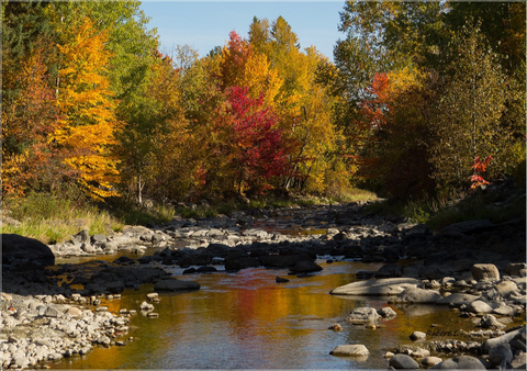 Parc 7 chutes