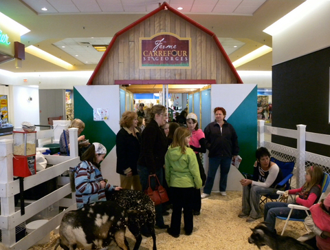 La petite ferme du Carrefour St-Georges