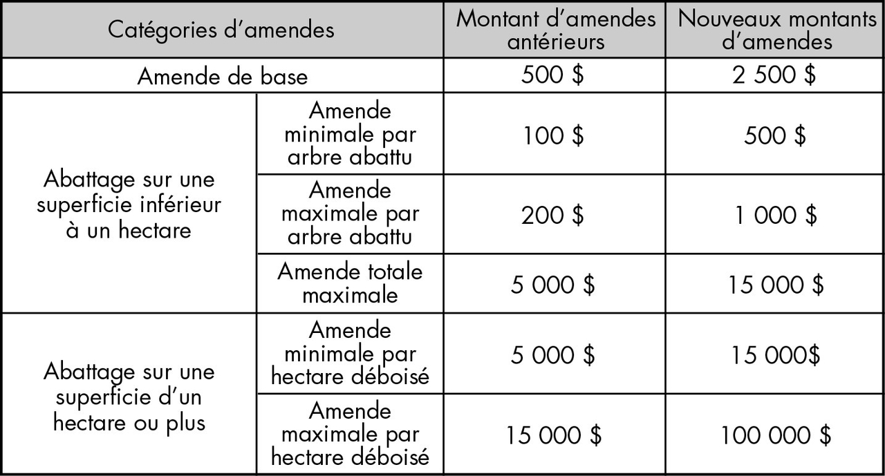 Des peines plus sévères pour l’abattage illégal d’arbres