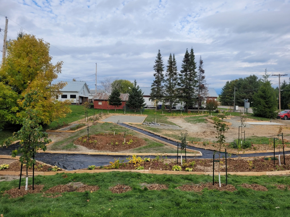 Place à la forêt nourricière à Saint-Edmond-les-Plaines