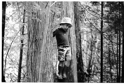 Protégez la forêt, demain elle sera à nous!
