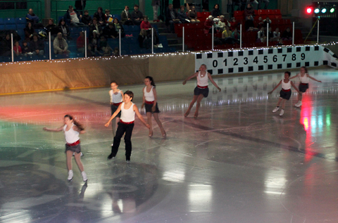 44e spectacle des Patins d'argent
