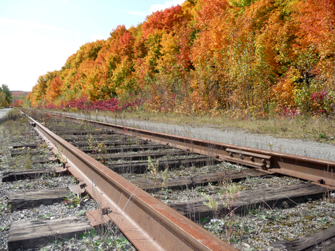 Chemin en couleur
