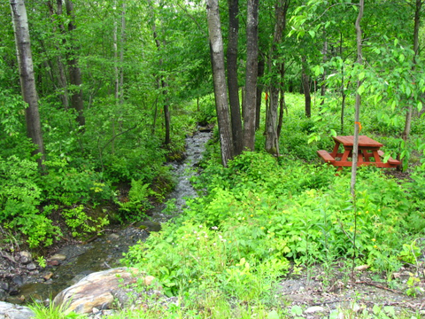 Nature (beauceville)