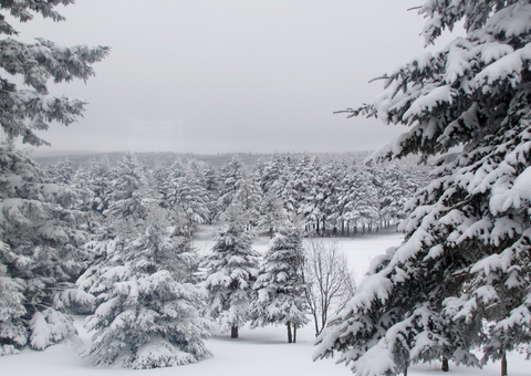 La magie de l'hiver