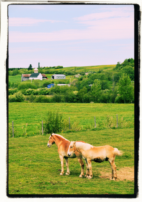 La vallée de la Chaudière