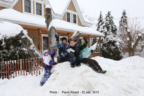 Verglas du 22 décembre 2013