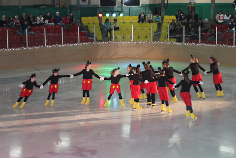 44e spectacle des Patins d'argent