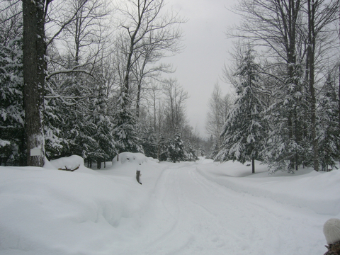 Paysage de St-Joseph