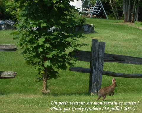 Visiteur surprise