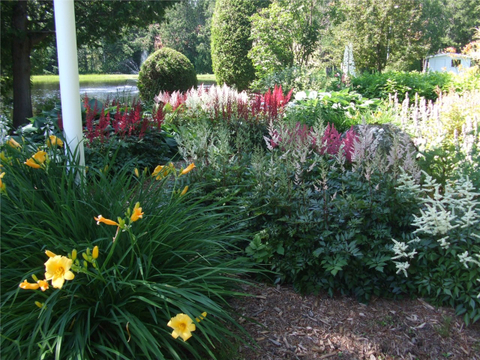 Merveilles du jardin