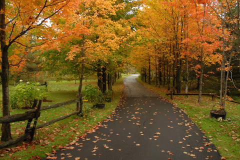 L'automne bien en place