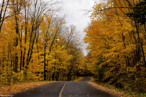 Chemin d'automne