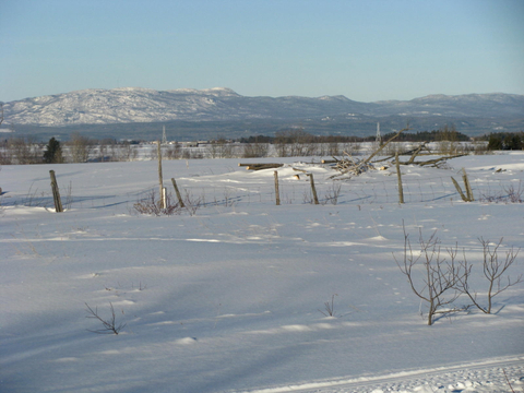paysage d'hiver